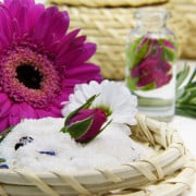 Read more about the article Anxiety Essential Oil Blend