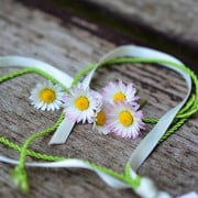 Read more about the article Best essential oils for romance