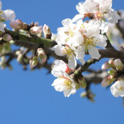 Read more about the article Detox Bath Recipe