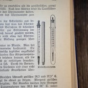 Read more about the article Essential oils and minimising the risk of influenza viruses