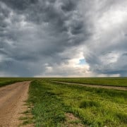 Read more about the article Essential oils for anxiety and depression