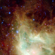 Read more about the article Unlocking Natural Wellness: The Ultimate Essential Oils Gift Set for Diffuser Enthusiasts