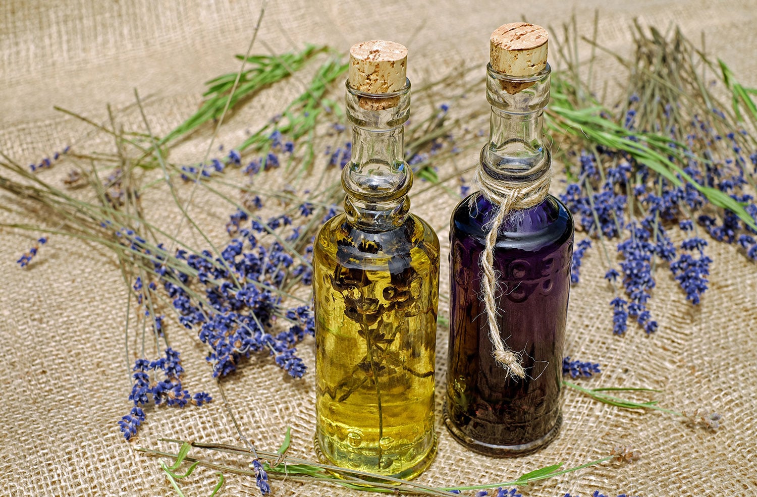 Two glass bottles of aromatic oils surrounded by dried lavender flowers