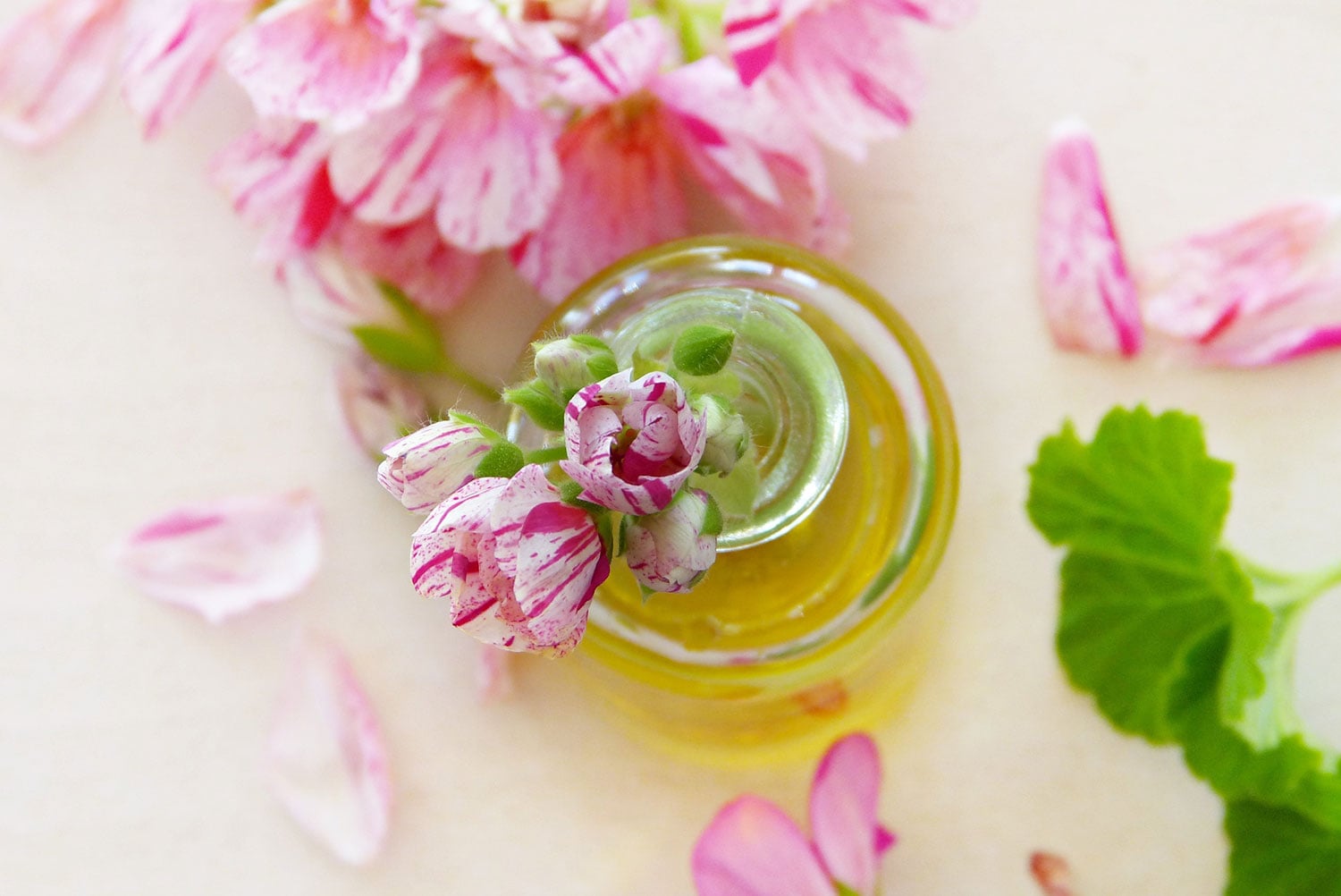 Glass bottle of golden botanical oil surrounded by delicate pink flowers.