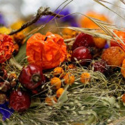 Read more about the article Healing Creams