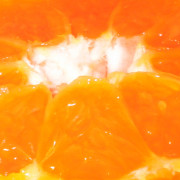 Read more about the article Mental Focus