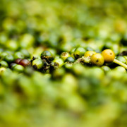 Read more about the article Recipes with black pepper essential oil