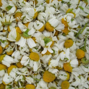 Read more about the article Recipes with Chamomile Essential Oil