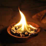 Read more about the article Spikenard Essential Oil: 6 Profound Benefits and Everyday Uses for Body, Mind, and Spirit