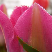 Read more about the article Winter skin care